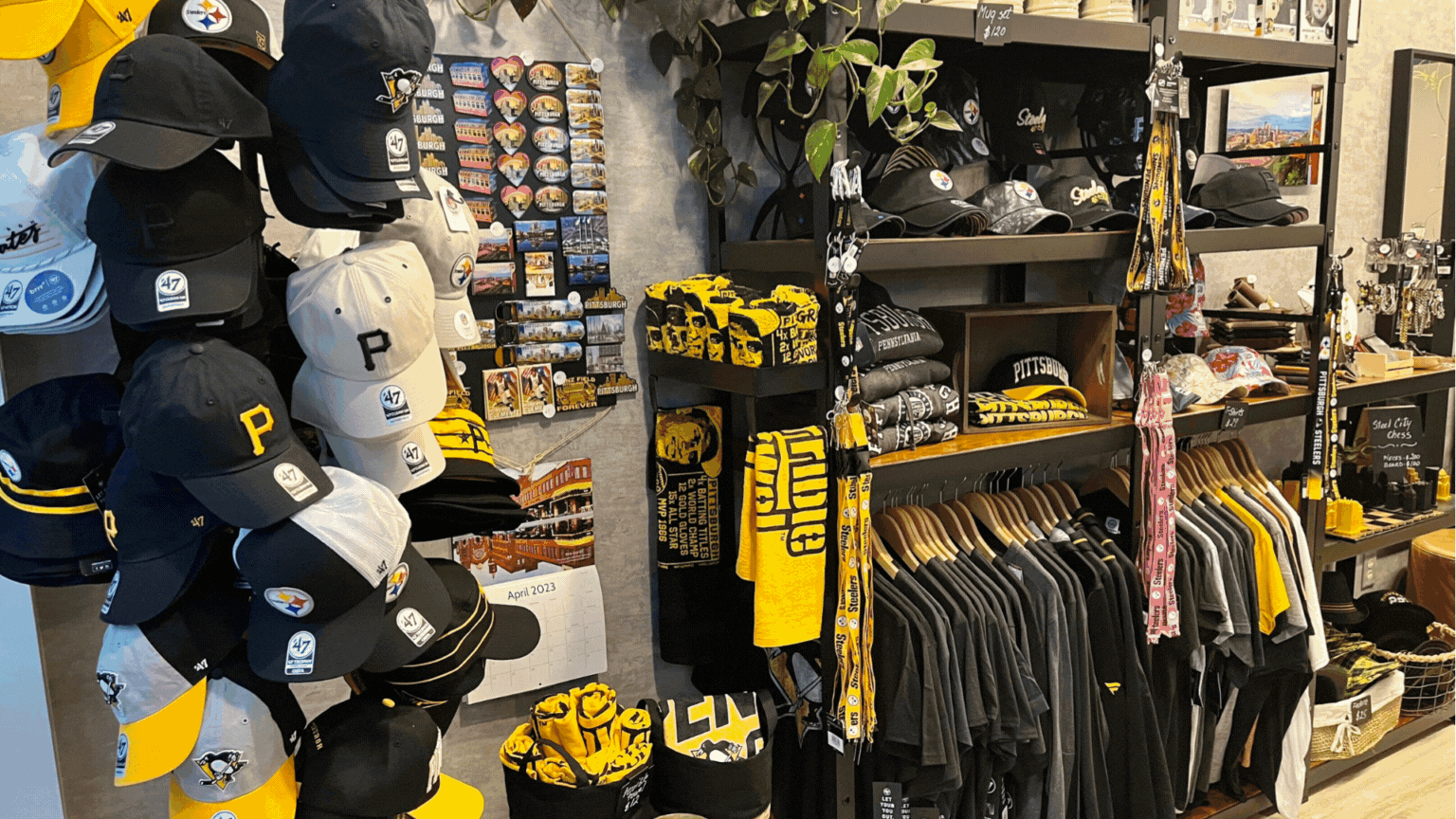the steeler store