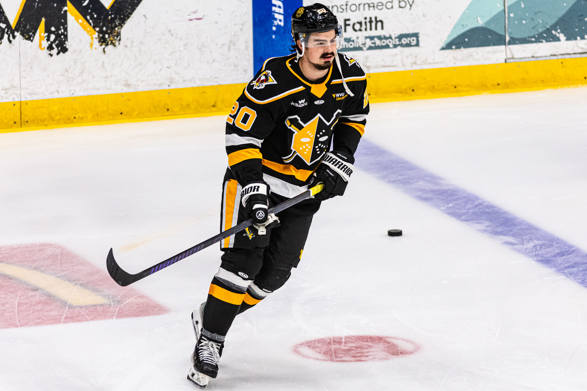Chase Pietila