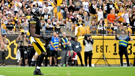 Final: Steelers 30, Bengals 27 taken on the North Shore (Top story). Photo by CHARLES LECLAIRE / REUTERS