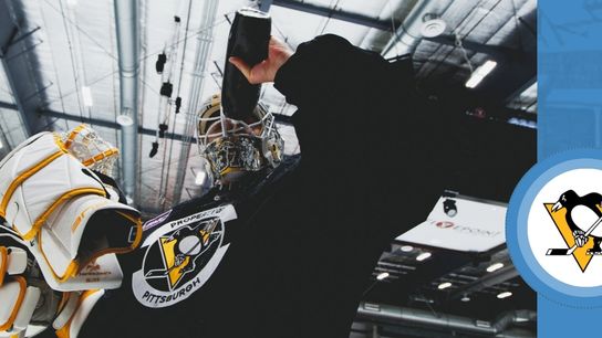 Should Silovs get the nod again? taken in Boston