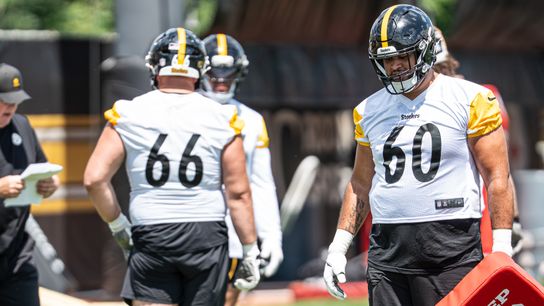 DK: My (versatile, flexible) observations from OTAs taken Pittsburgh. Photo by GREG MACAFEE / DKPS