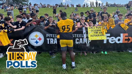 Reader Polls: Rate the QBs! taken Pittsburgh (Weekly features)
