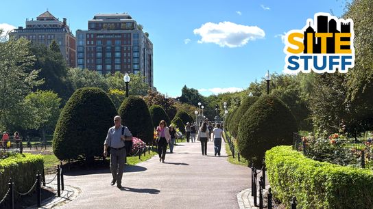 Site Stuff: Let's (actually) talk! taken Boston (Weekly features). Photo by DALI KOVACEVIC / DKPS