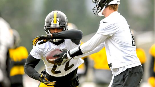 Halicke: Running game's recent success fits Steelers' 'nature' taken on the South Side (Steelers)