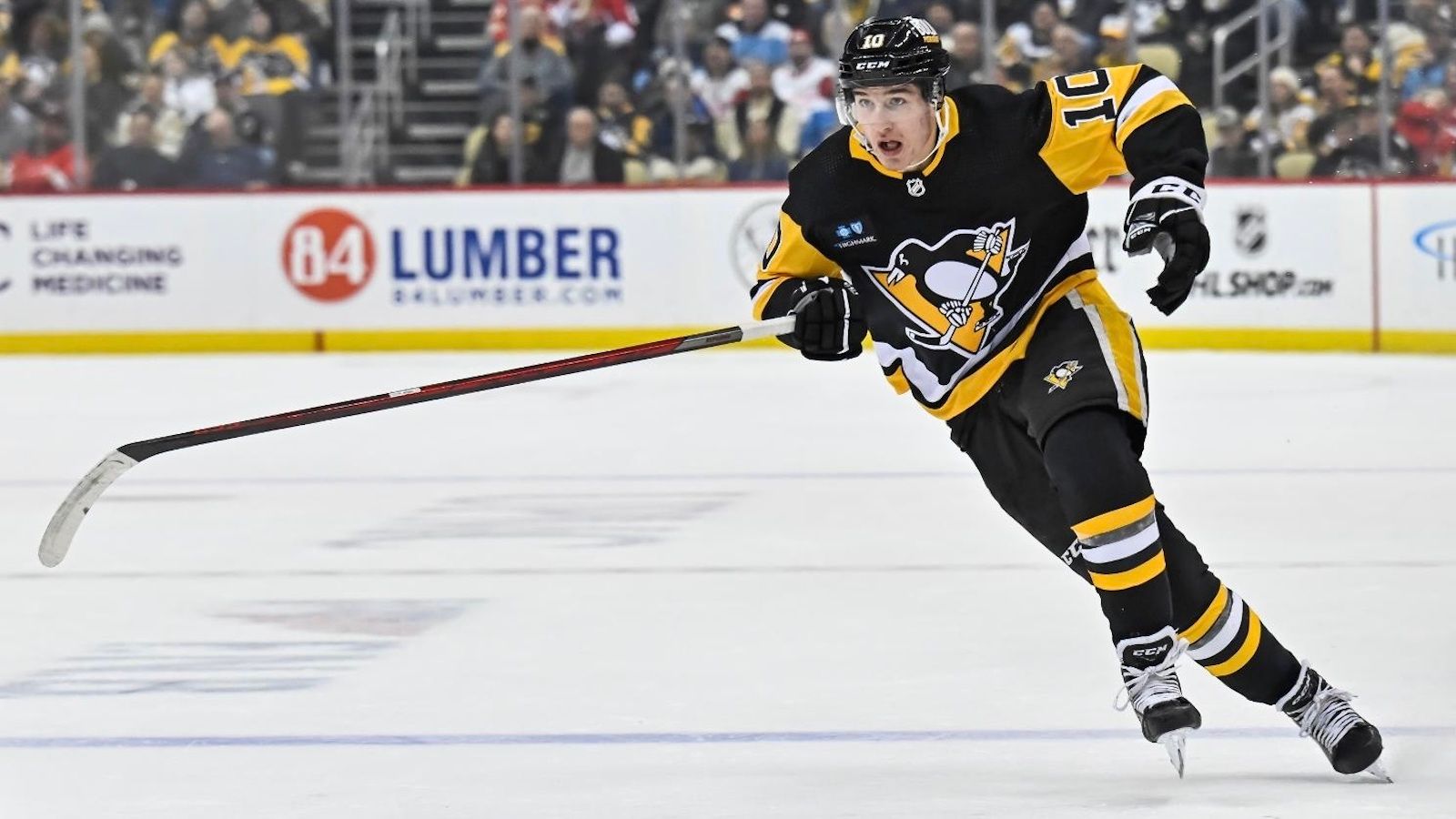 Penguins recall Drew O'Connor from Wilkes-Barre/Scranton