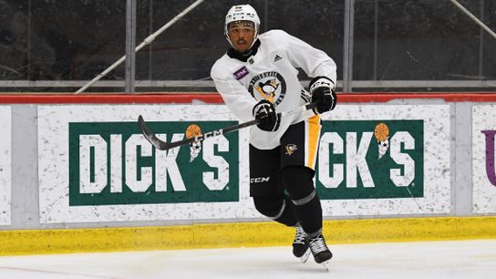 Development camp: McCoy battling for contract with Penguins taken in Cranberry, Pa. (Penguins)