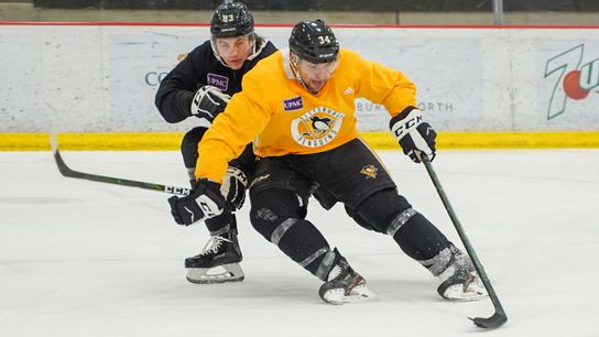 Fewer pounds = more quickness for Legare taken in Cranberry, Pa. (Penguins)