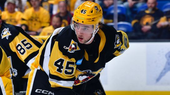 By Taylor Haase: Brunicke learning, 'looking forward' in AHL stint at Wilkes-Barre, Pa.