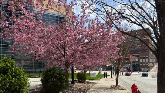 Penguins vs. Panthers, 5:08 p.m. taken Pittsburgh (Live coverage)