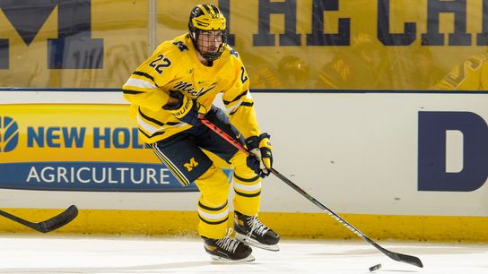 Michigan defenseman tops 'average' draft class taken at PPG Paints Arena (Penguins)