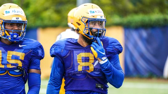 Transfers Johnson, Wiltz, Simon set to make instant impacts taken on the South Side (Pitt)