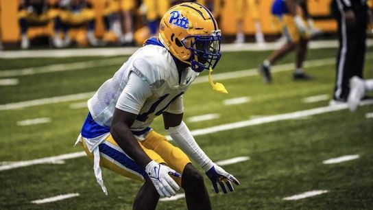 Consistency gives Pitt's defense momentum into Saturday's spring game taken on the South Side (Pitt)