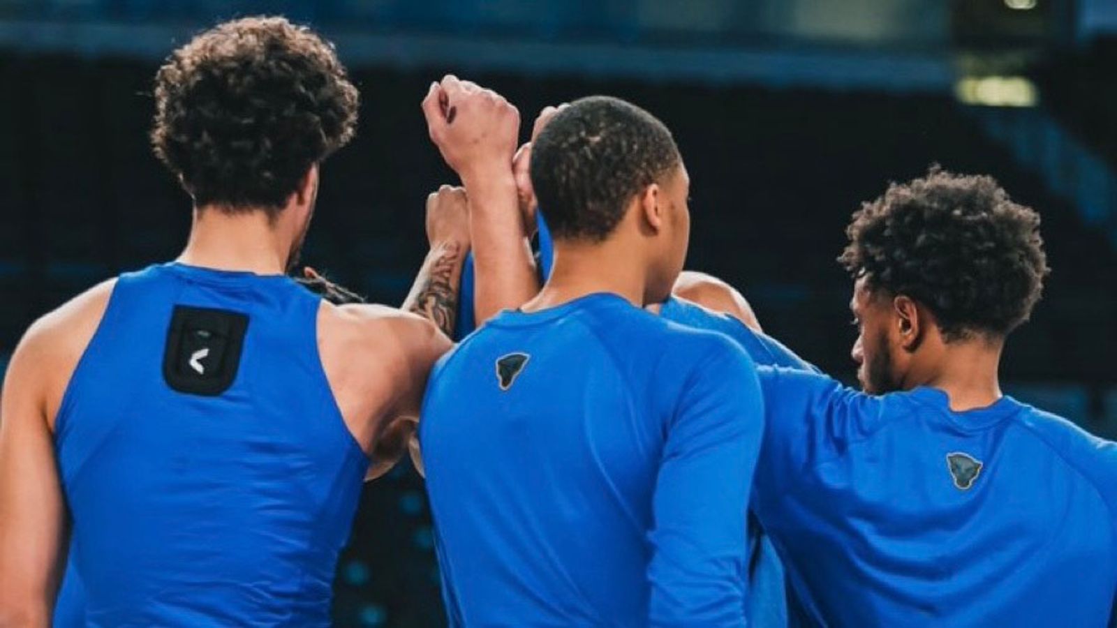 The Pitt visual data 7