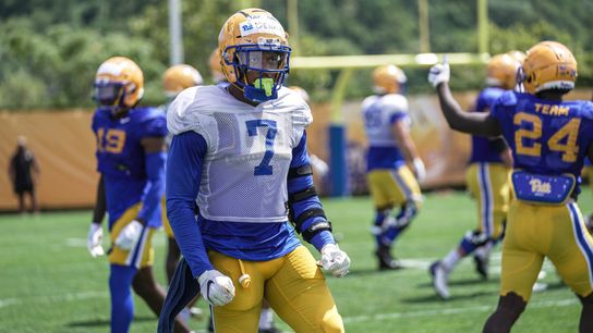 Dennis provides stability in middle of Panthers' linebacker quandary taken on the South Side (Pitt)