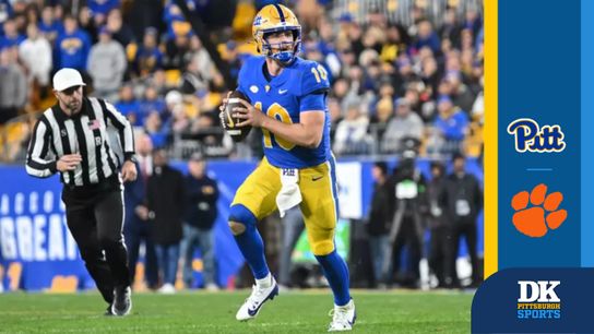 Preview: Holstein or not, skidding Panthers have problems to fix taken in Downtown (Pitt)