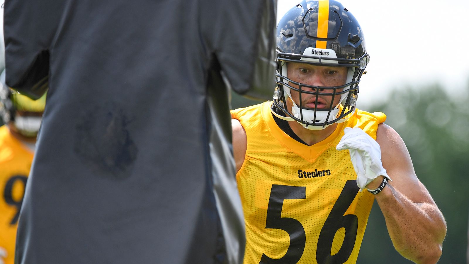 cassius marsh steelers jersey