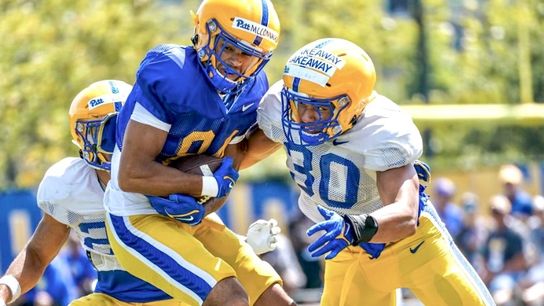 No Kancey, no Dennis ... How Pitt's defense moves on without their stars taken on the South Side (Pitt)