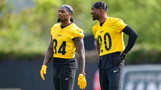 Sullivan reprising role with mentor, former teammate Peterson taken on the South Side (Steelers)