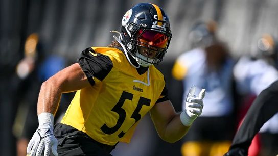 Urgency, cohesion comes naturally to experienced linebackers taken on the South Side (Steelers)