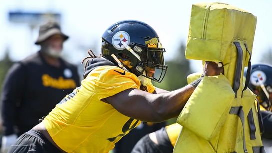 Now healthy, Ogunjobi set to keep a hold of the 'feel' within defense taken on the South Side (Steelers)