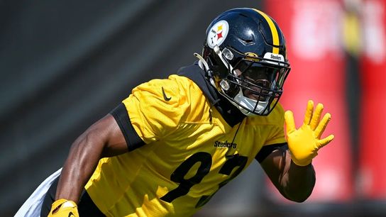 Robinson's riding a wave of confidence amid inside linebacker mix taken on the South Side (Steelers)
