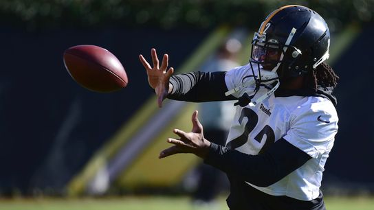 Lolley's Kickoff: With division lead in sight, Steelers wary of 0-8 Lions taken at Heinz Field (Steelers)