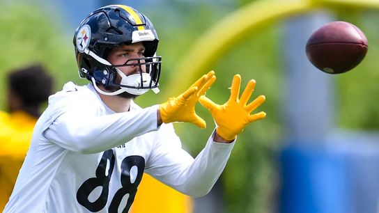 Crisan: Value the Steelers with caution in your fantasy football drafts taken on the South Side (Steelers)