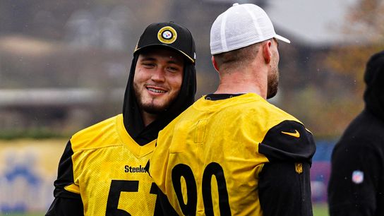 Defense coming together with 'great mix' of young, old playmakers taken on the South Side (Steelers)