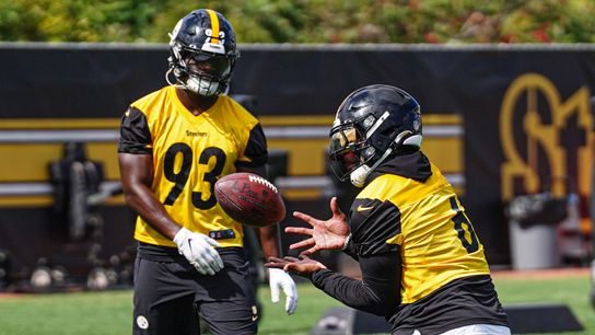 Steelers' defense living up to expectation despite so many new faces taken on the South Side (Steelers)