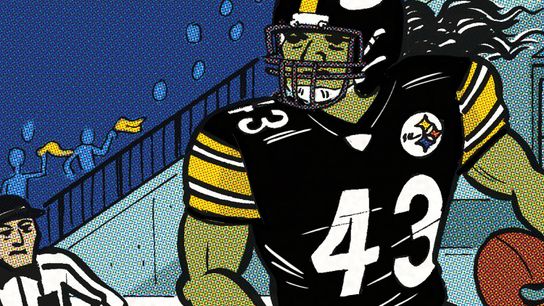 Cartoon Canon: Troy's moment! taken in Richmond, Va. (Steelers)