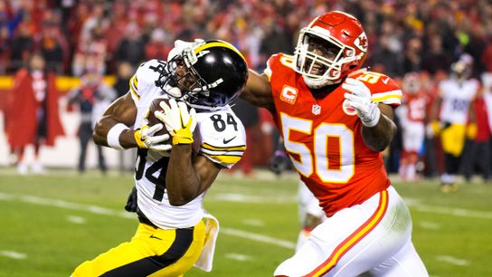 A look at remaining free-agent field for Steelers taken at Rooney Complex (Steelers)