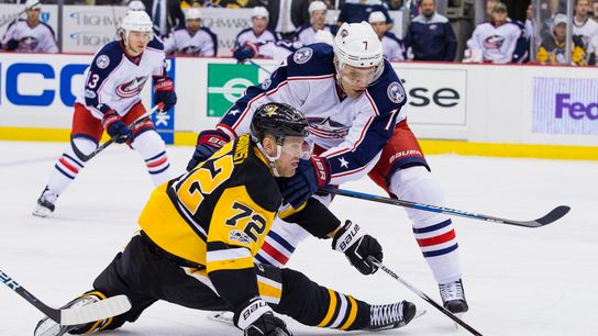 Trials, tribulations of Johnson's career taken in Cranberry, Pa. (Penguins)
