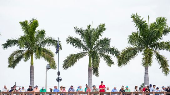 Pirates' home spring training schedule to begin Feb. 24 vs. Yankees taken at Highmark Stadium (Pirates)