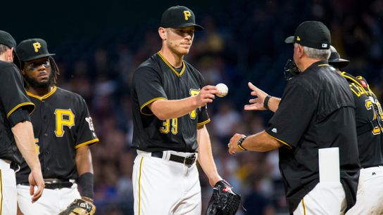A 'transition' in baseball has hitters, pitchers thinking differently taken in Lake Buena Vista, Fla. (Pirates)