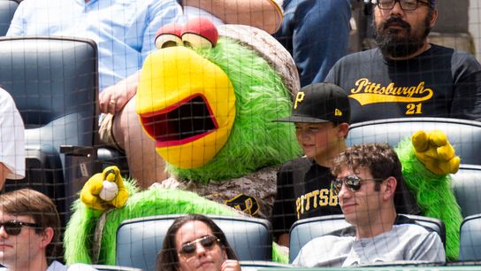 Pirates to extend netting, prevent 'heartbreaking' injuries taken at Highmark Stadium (Courtesy of StepOutside.org)