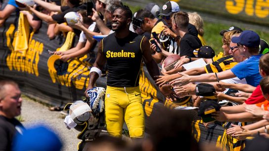 Camp preview: Our staff picks Steelers in North taken at Rooney Complex (Steelers)