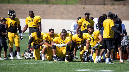 NFL Draft: Defensive line help? Perhaps Steelers will look taken at Rooney Sports Complex (Steelers)