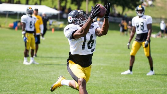 Tucker hopes to stick with Steelers this time taken at Rooney Sports Complex (Steelers)