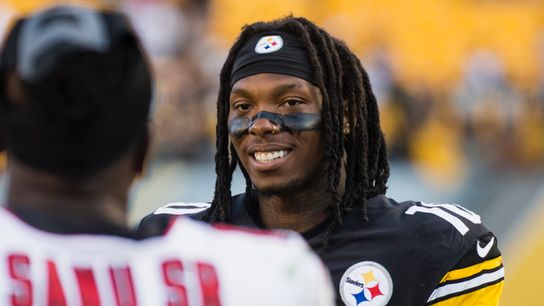 Kovacevic: Martavis lets the right light outshine all the rest taken at PNC Park (Steelers)