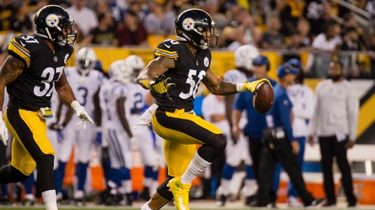 Kovacevic: Shazier's pick, Cole vs. Candy, Kevin Kerr taken at Heinz Field (Hounds)