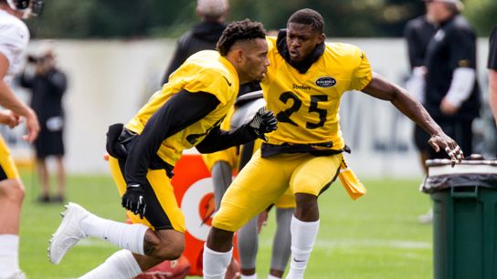 Haden, Matakevich coming back ... and don't forget Gilbert, too taken at Rooney Sports Complex (Steelers)