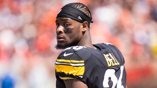 Jets coach, now-fired GM disagreed on Bell taken at Rooney Complex (Steelers)