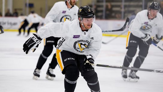 Bradford: Ruhwedel's story is hockey's sunny side taken in Toronto (Penguins)