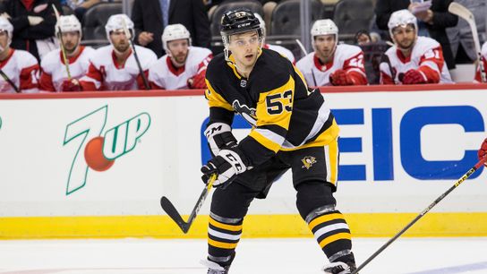 Friday Insider: Coaches say Blueger's ready for NHL taken in Cranberry, Pa. (Courtesy of Point Park University)