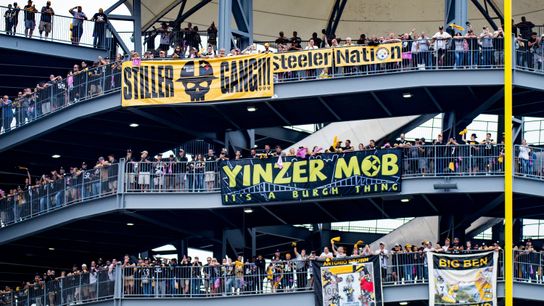 Kovacevic: Blaming media? Hey, go nuts taken in Tampa, Fla. (Steelers)