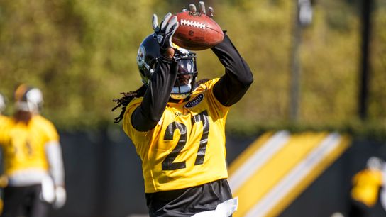 Steelers not afraid to shadow star receivers, but what about Green? taken at Rooney Sports Complex (Steelers)
