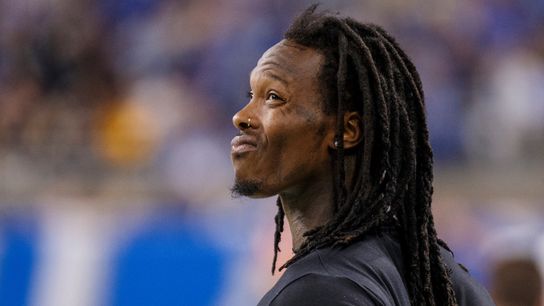 Gruden compares Martavis to 'white tiger' taken at Highmark Stadium (Steelers)