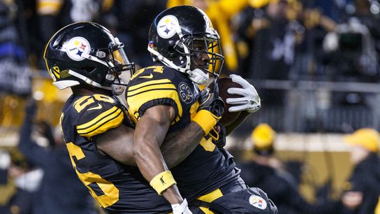 AB tweets he's got Bell's back taken at Rooney Complex (Steelers)