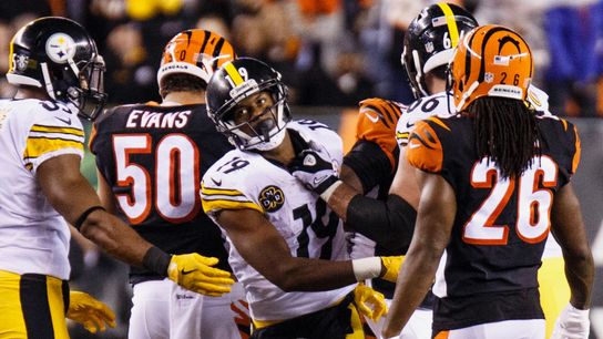 Lolley: NFL went overboard with Cincy affair ... and league wasn't alone taken at Rooney Sports Complex (Steelers)