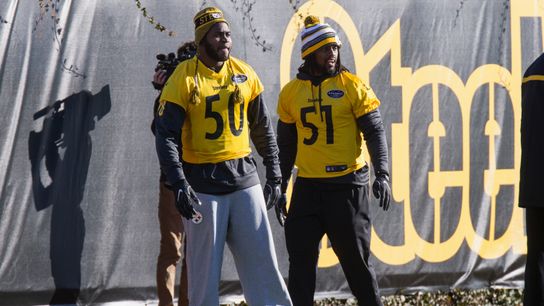 Steelers practice: Finney looks OK, Haley back taken at Rooney Sports Complex (Steelers)